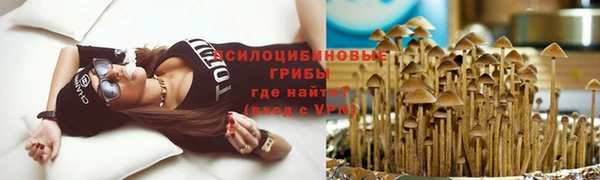 а пвп мука Нея