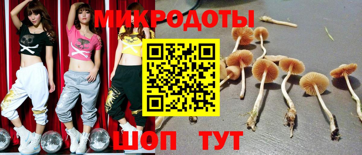 Галлюциногенные грибы Psilocybine cubensis  Галлюциногенные грибы мицелий  Вход с VPN  Кировск 