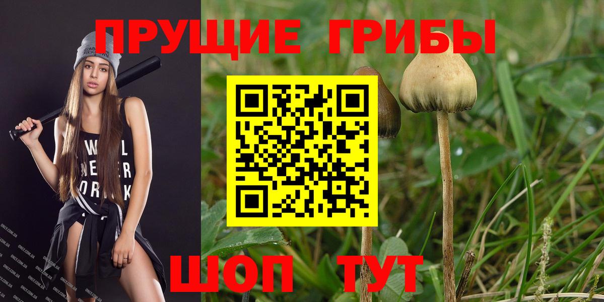 Псилоцибиновые грибы ЛСД Кировск