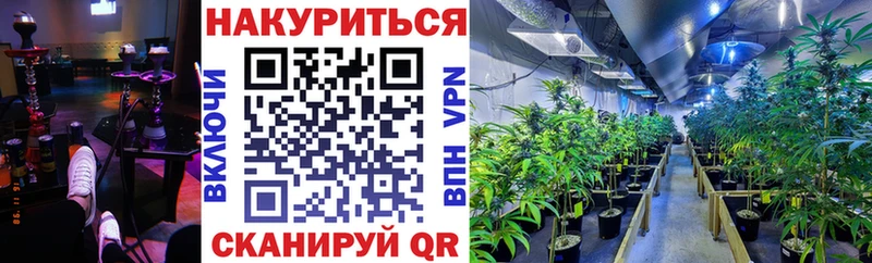 купить  сайты  Кировск  Конопля OG Kush 